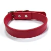 Venta directa de fábrica panel de luz PU collar de perro productos para mascotas medianos y pequeños gato perro collar cuello cuello cuello details Picture